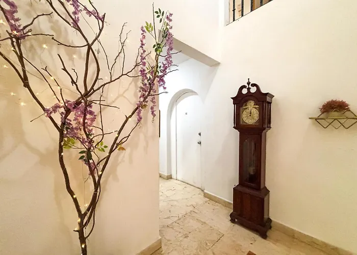 Apartment Close To Beach, Quinta,ferry To Cozumel And Xcaret