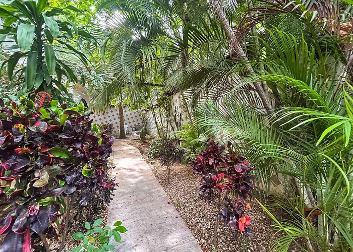 Apartment Close To Beach, Quinta,ferry To Cozumel And Xcaret Playa del Carmen