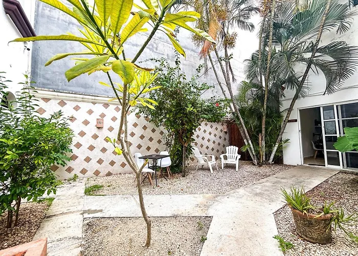 Apartment Close To Beach, Quinta,ferry To Cozumel And Xcaret