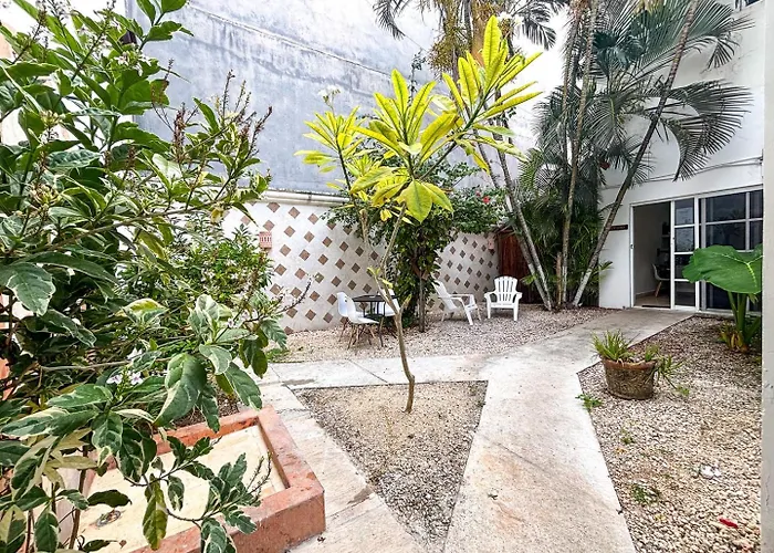 Close To Beach, Quinta,ferry To Cozumel And Xcaret Apartment
